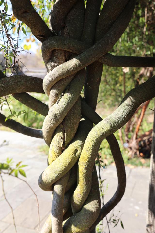 Example image Example image