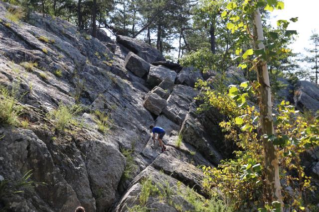 Example image Example image