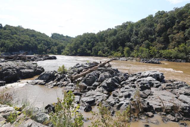 Example image Example image