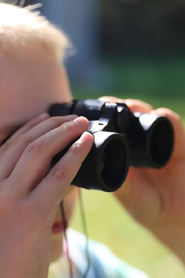 Example image Example image