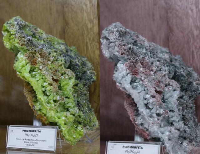 Example image Example image