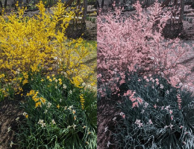 Example image Example image