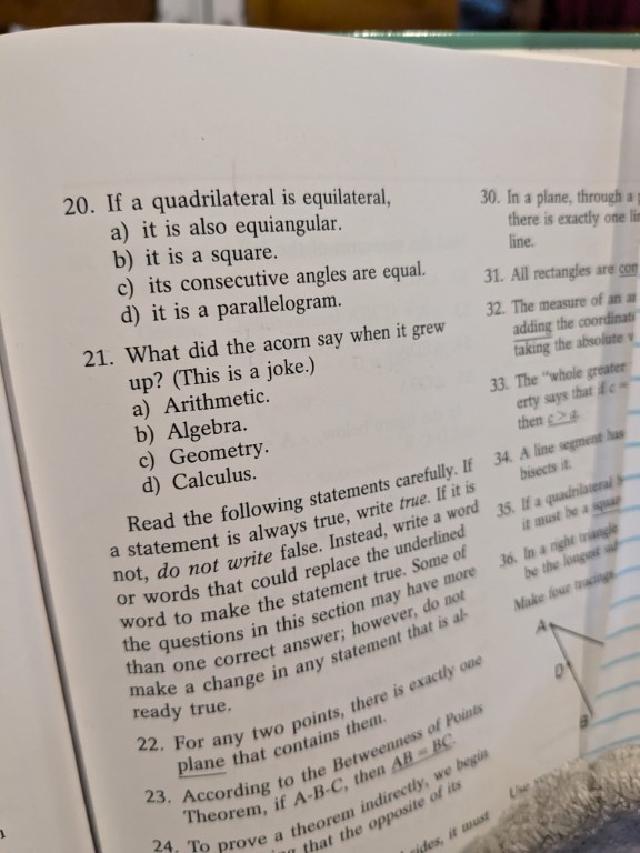 Example image Example image