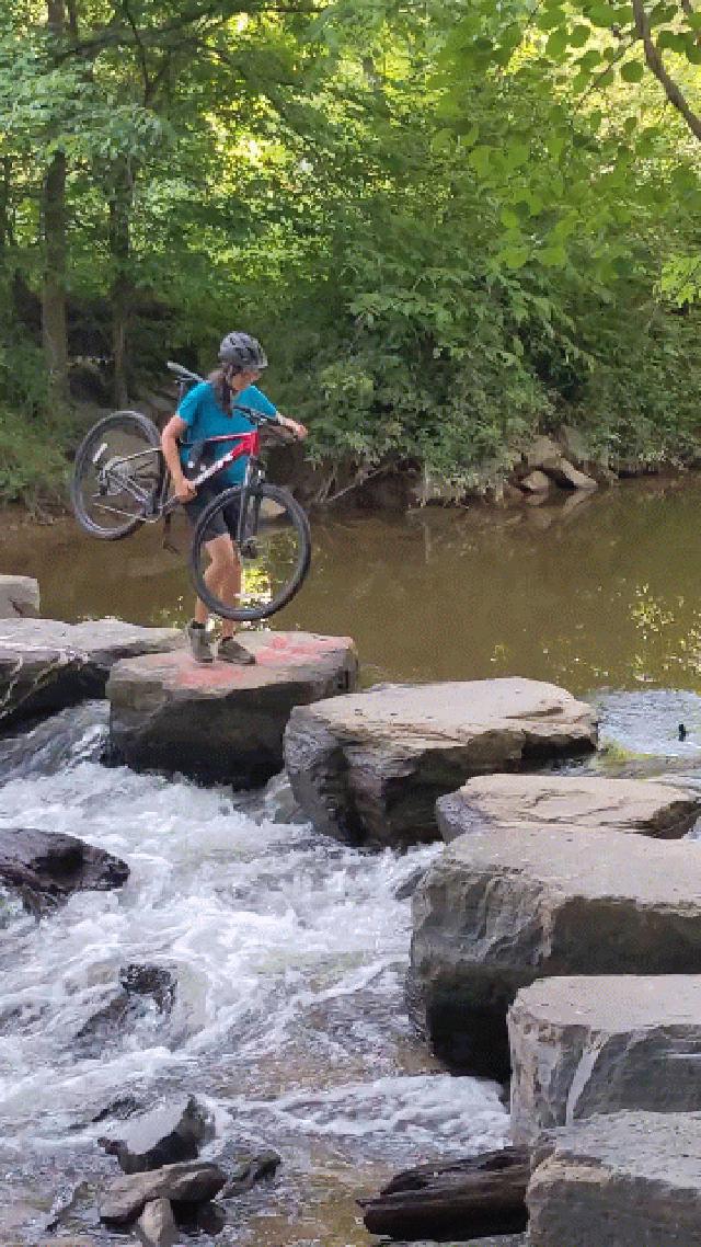 Example image Example image