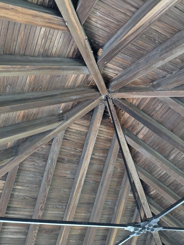 Example image Example image