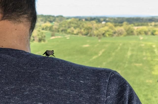 Example image Example image