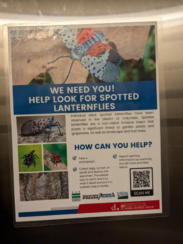 Example image Example image