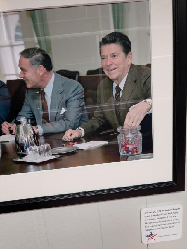 Jelly Belly Influencer Jelly Belly Influencer