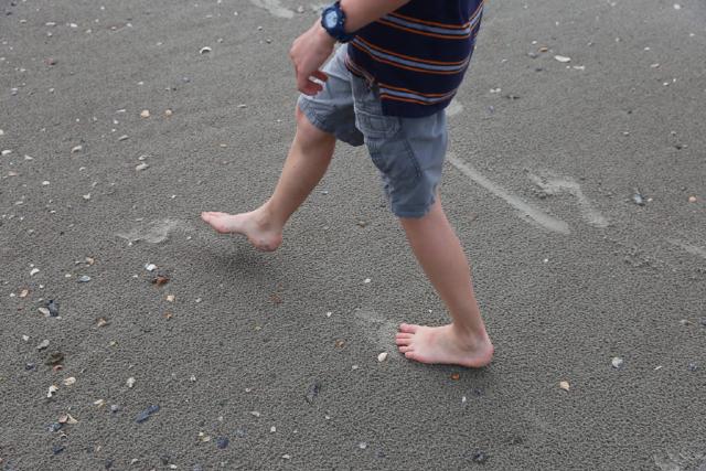 Keeper of the Bees Keeper of the Bees