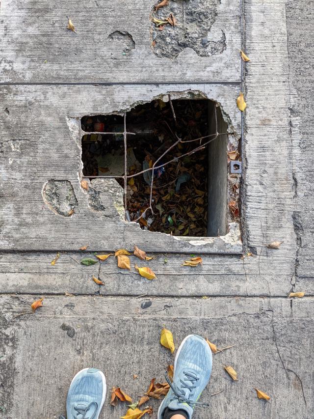 Example image Example image