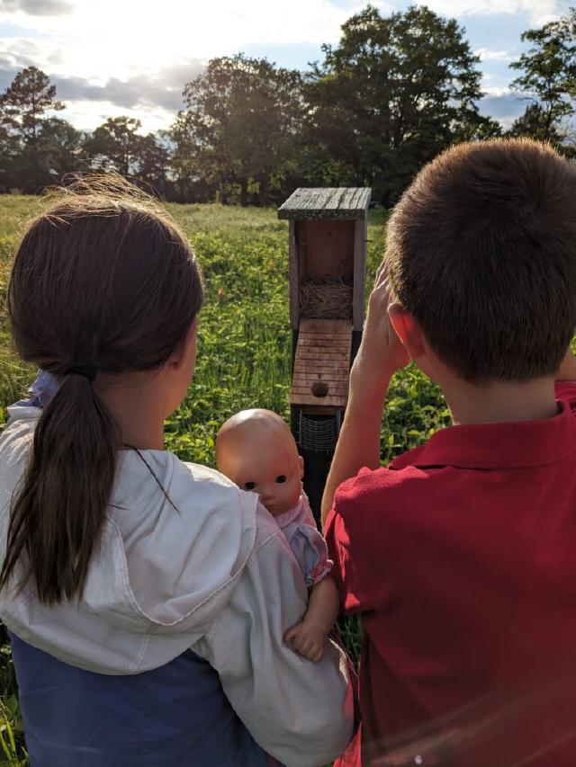 Example image Example image