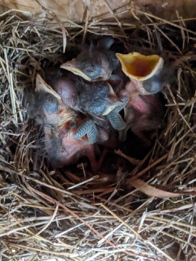 Example image Example image