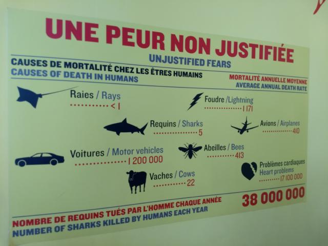 Example image Example image