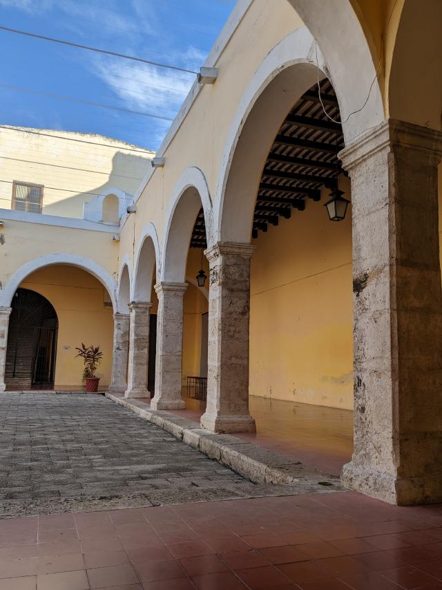 Example image Example image