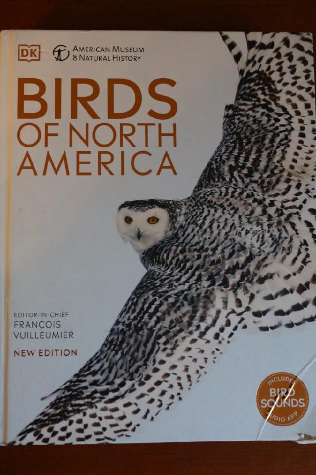 Example image Example image