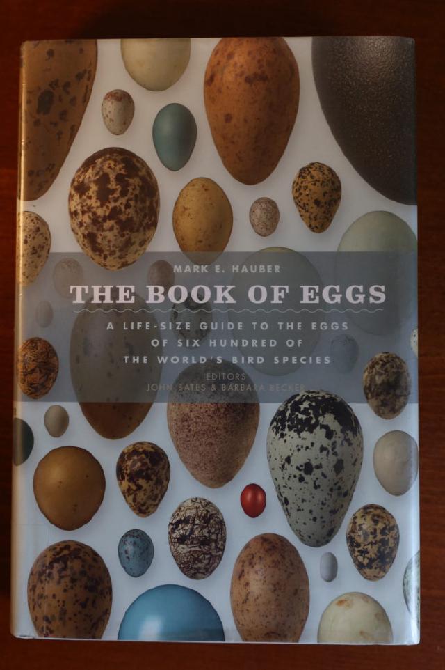 Example image Example image