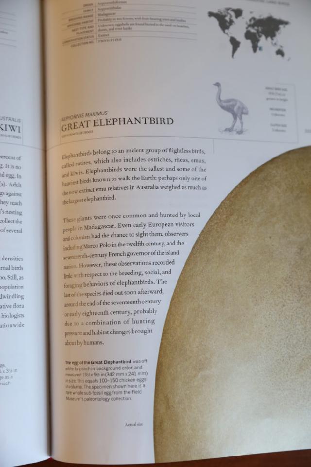 Example image Example image