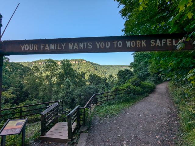 Example image Example image